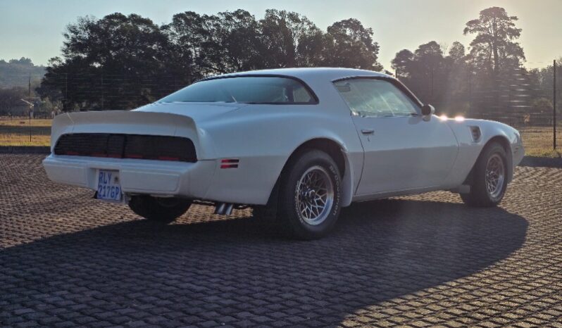 
								Used 1980 Pontiac TransAm full									