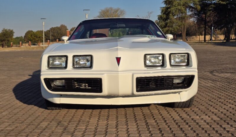 
								Used 1980 Pontiac TransAm full									
