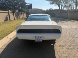 
										Used 1980 Pontiac TransAm full									