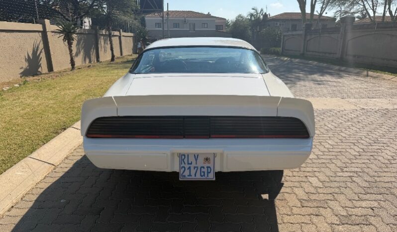 
								Used 1980 Pontiac TransAm full									