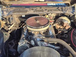 
										Used 1980 Pontiac TransAm full									
