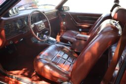 
										Used 1981 Ford Mustang 5.0 full									